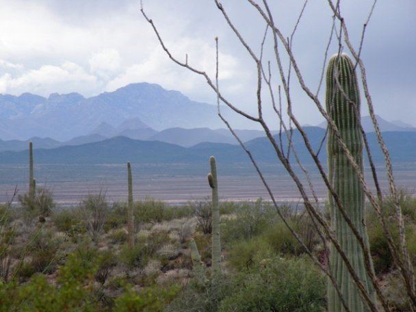 Storm in the mountains near the Desert Museum