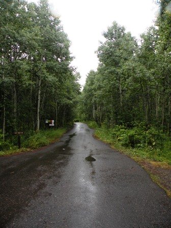 McClure Campground in the Gunnison National Forest