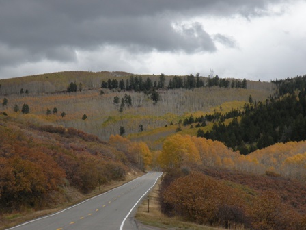 Road into the Colorado Mountains